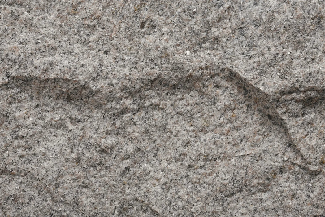 Bjärlöv
